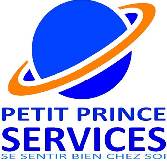 Logo planète bleue avec cercle orange